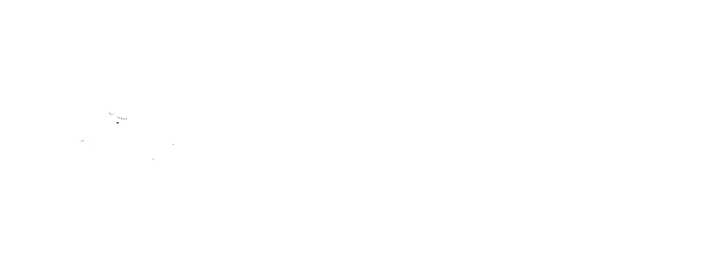 Lumberjack World Championships